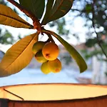 Uzum Tatil Evi Hotel Selimiye (Aegean)