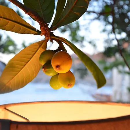 Uzum Tatil Evi Hotel Selimiye (Aegean)