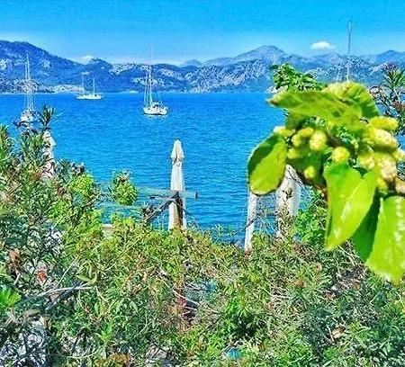 Uzum Tatil Evi Szálloda 3*